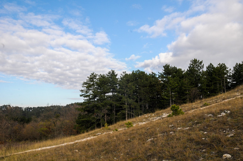 ASCII��� �����������������������������������