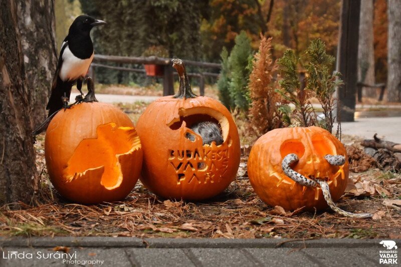 ASCII���������������������������������������