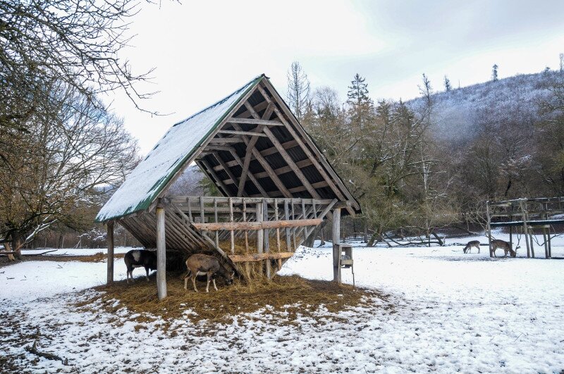 ASCII��� �����������������������������������