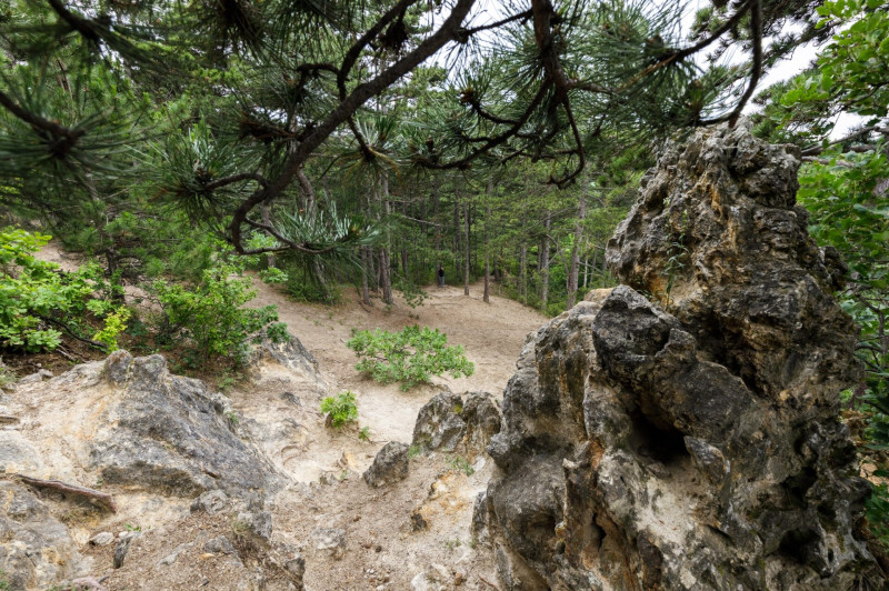 A Sorrento dolomotsziklái