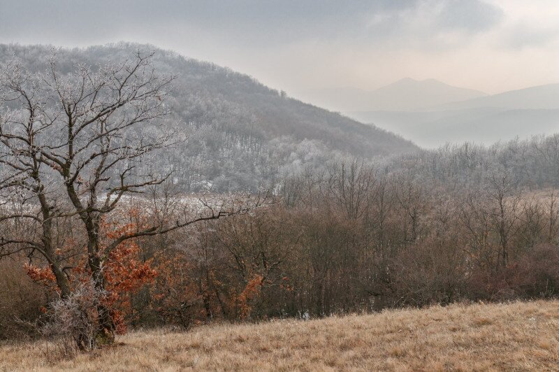 A Sós-hegy a Nagy-Sas-hegy oldalcsúcsáról, a távolban a Nagy-Galla