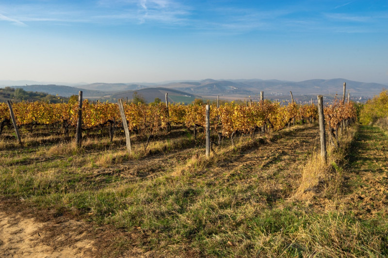 A Szerencsi-dombság és a Tokaji-hegység, balra a Bükk