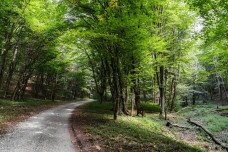 A természetet járva szebb a világ – Hétvégi programajánló