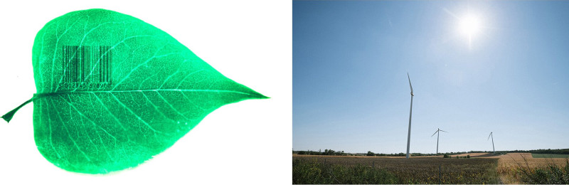 atro_pfliegel_a_novenyek_termekesite_2034-racmolnar_naibres_nieche_racmolnar_megrongalt_szeleromuvek