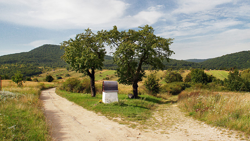 aug-12_042-2kk.jpg