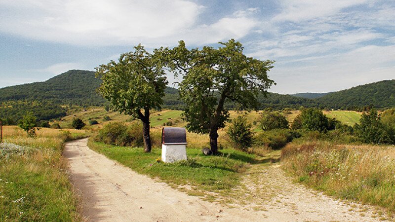 aug-12_042-2kk.jpg