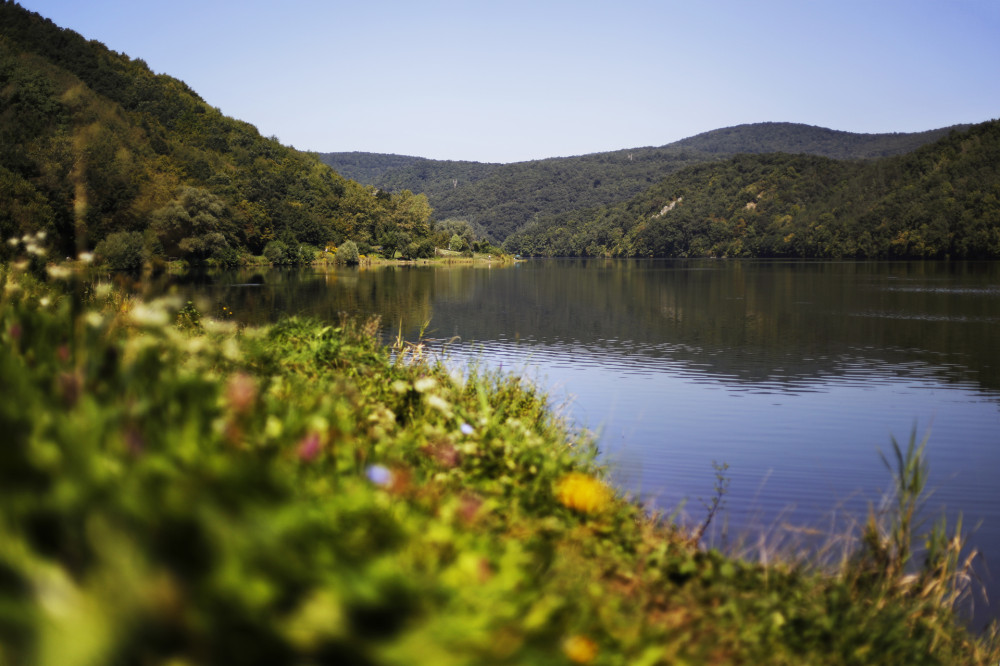 aug-25-28_145-2.jpg