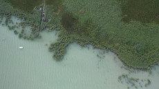Augusztus utolsó hétvégéje a Balatonról szól