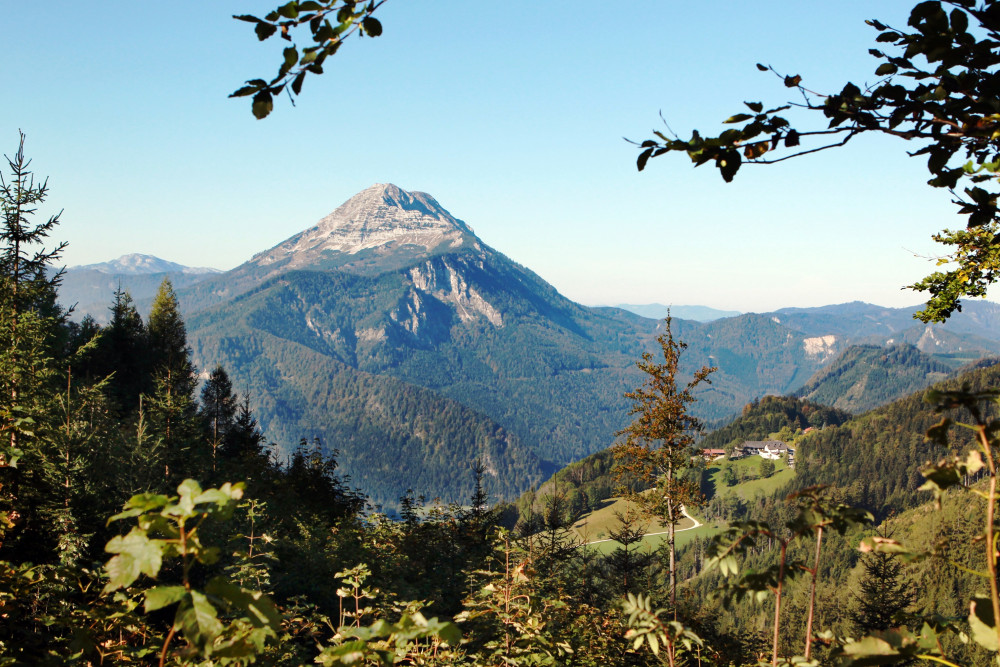 ausblick_otscher_von_gosing__weinfranz_at.jpg