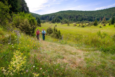 A változatosság gyönyörködtet, pláne a Bükk-fennsíkon