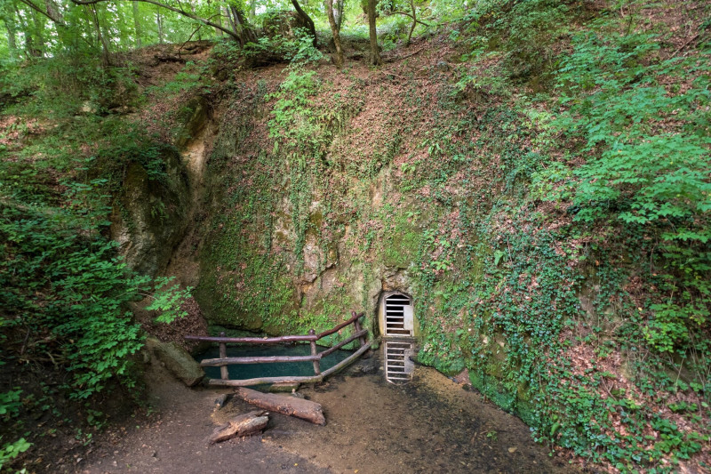 A Vízfő-forrás az egyik legnagyobb hozamú karsztvízfakadás a Mecsekben