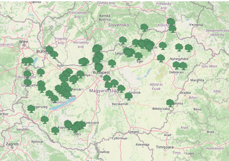 A WWF térképen gyűjtötte össze a hazai örökerdőket
