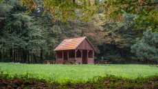 Az én kékem, avagy elmélyülés a Bakony csendjében