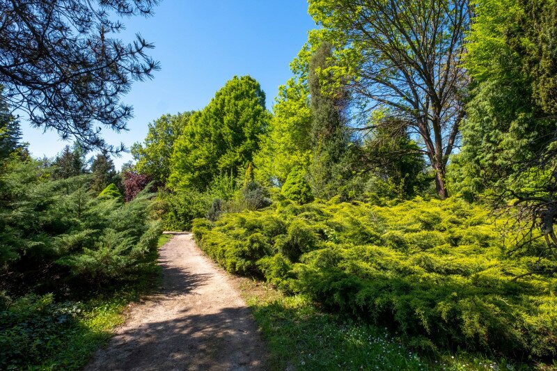 Az erdőteleki Arborétum
