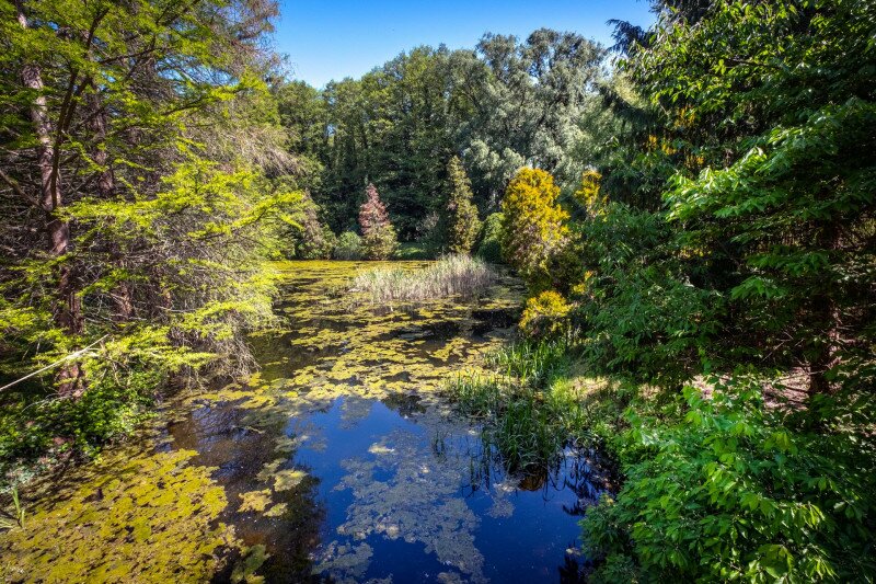 Az Erdőtelki Arborétum