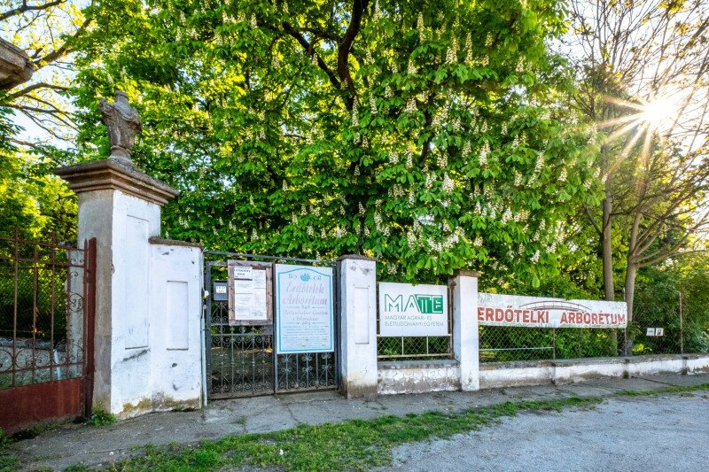 Az Erdőtelki Arborétum bejárata