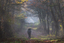 Az etikus természetfotózás kezdőknek és haladóknak