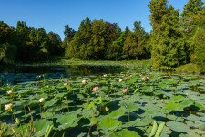 Az ország legjelentősebb botanikus kertje ősz elején is tökéletes úti cél
