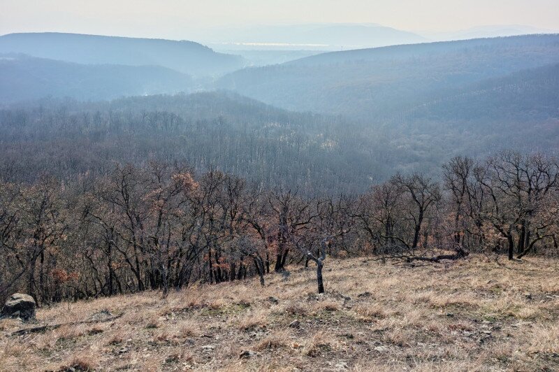  A Zuvári-hegy déli oldaláről remek a kilátás