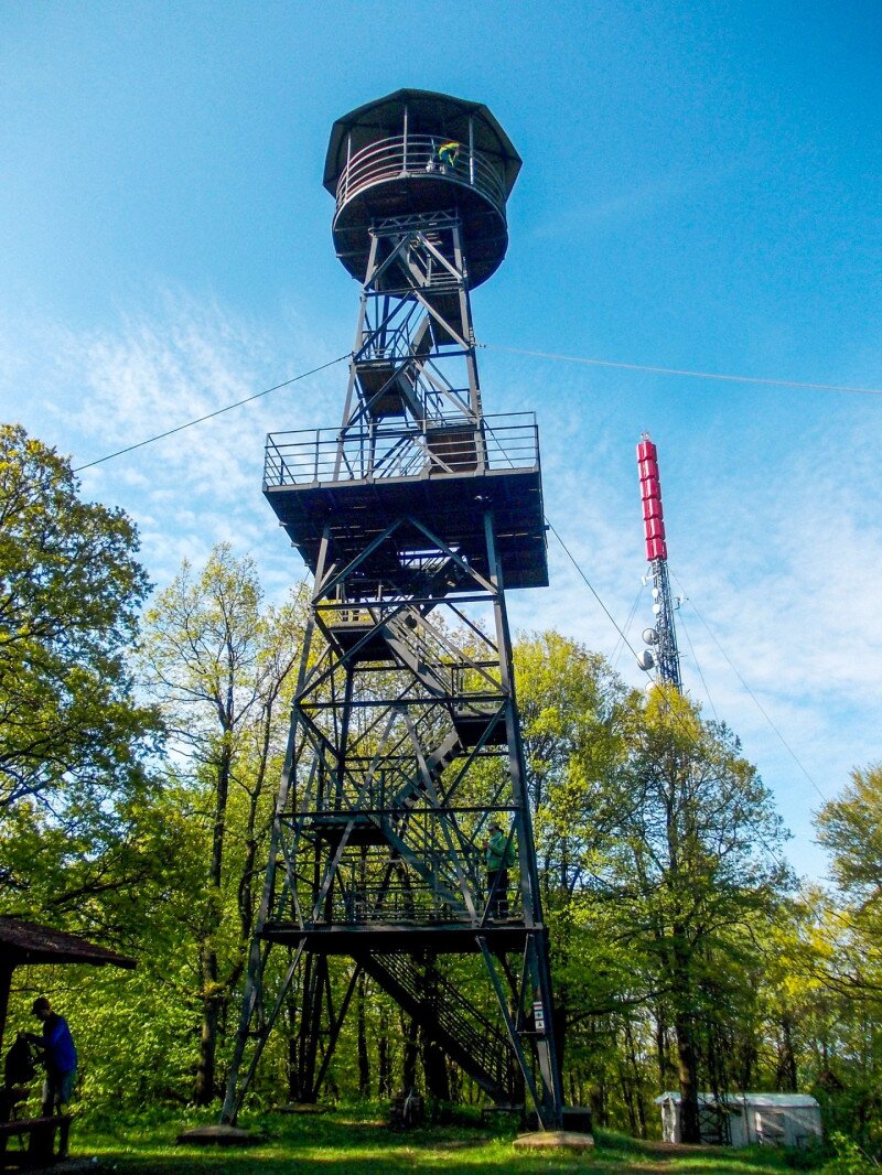 �������� �