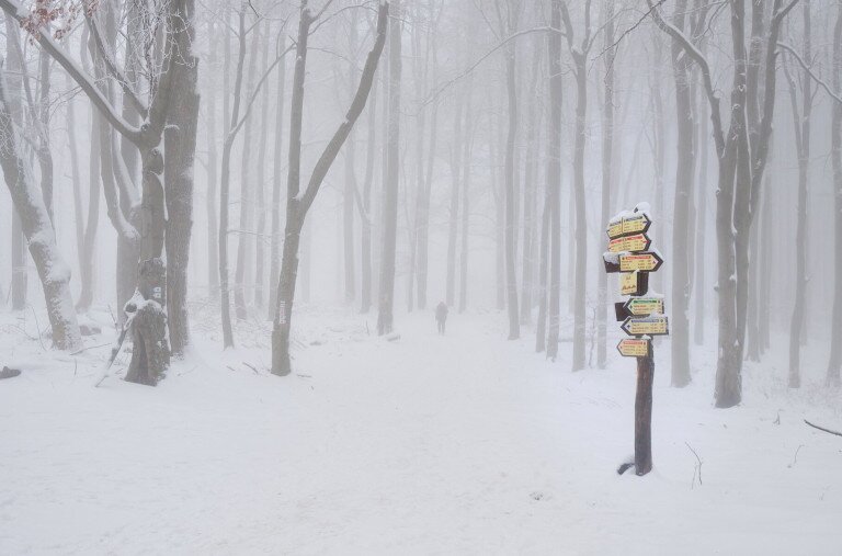 A Természetjáró csapata is megtaposta a friss havat – galéria