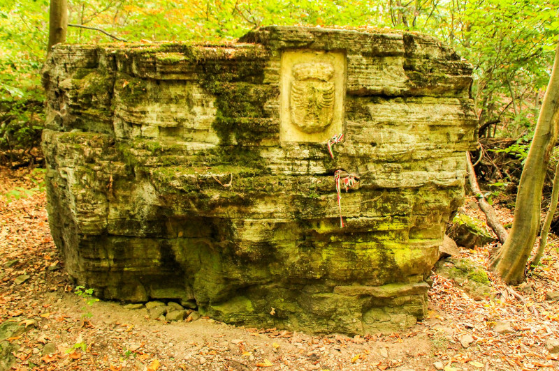 ������������������������������������������������������������������������������������������������������������������������������������������������������������������������������������������������������������������������������������������������������������������������