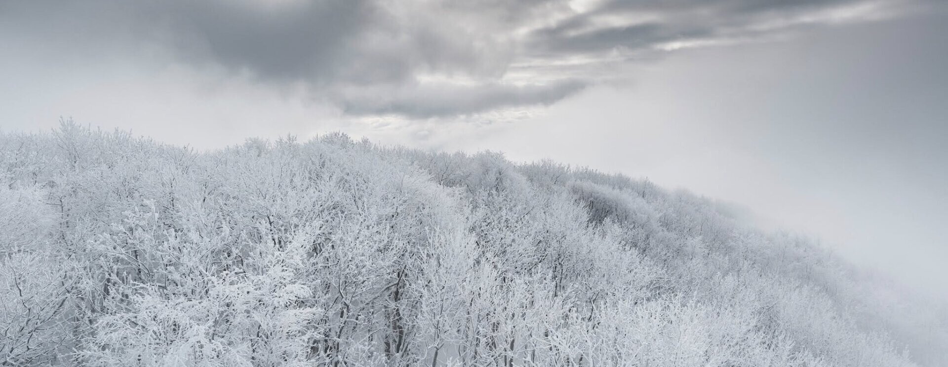 Fehérbe borult az ország – Galéria