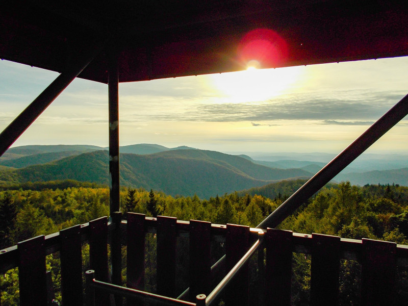 �������� �