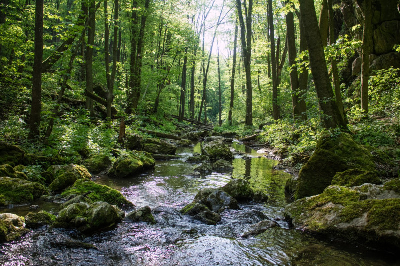Bakony, Kertes-kői szurdok