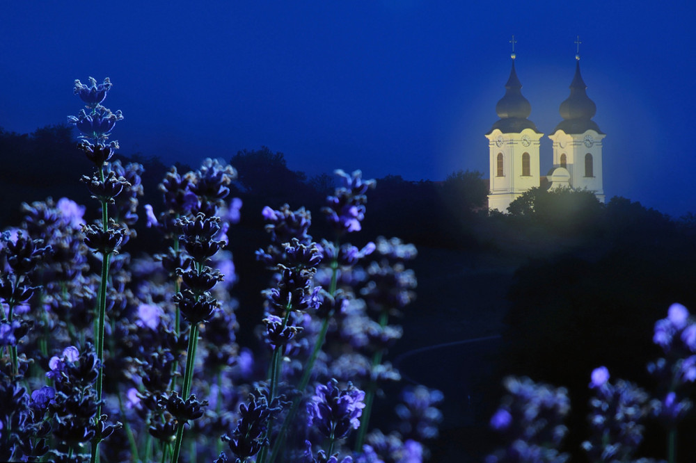 balatonfelvidek_foto_ravaszbalazs.jpg