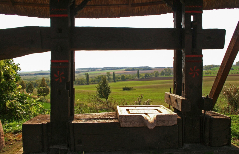 balvanypres-az-orondi-szoloknel-a-csakbereny