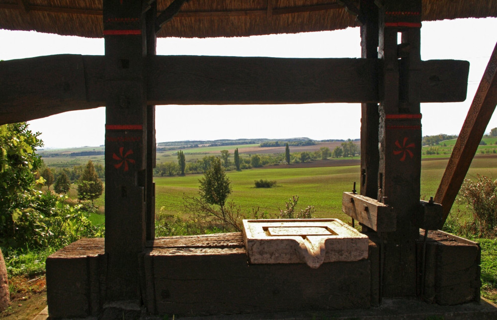 balvanypres-az-orondi-szoloknel-a-csakbereny