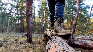 Bámulatos rövidfilm a természet szeretetéről