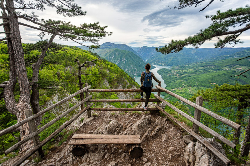 Banjska Stena kilátópont a Tara Nemzeti Parkban Szerbiában