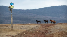 Barangolás az Aggteleki Nemzeti Parkban