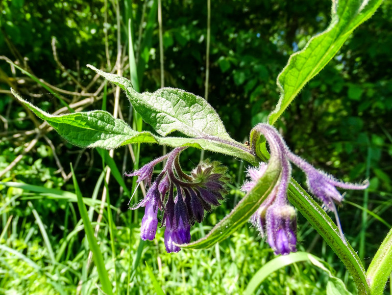 ����������������������������������������������������������������