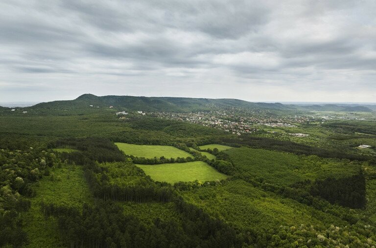 Megújul a Budakeszi Vadaskert erdeje