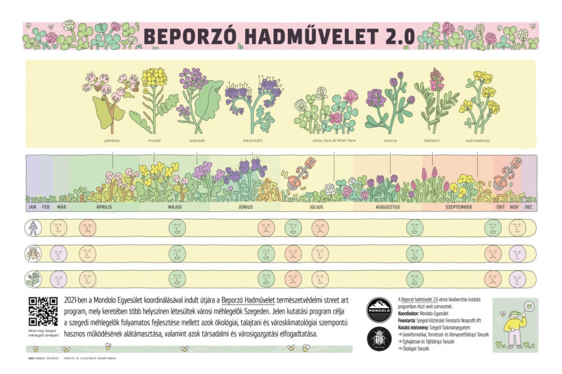 beporzo_hadmuvelet_molino_B_oldal_vegleges_0420-2-1536x1024