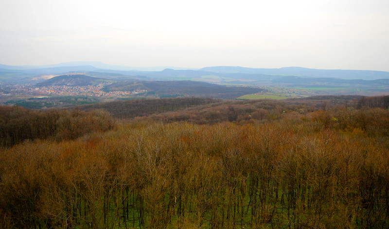 bimg_7486.jpg