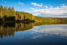 Bódító túrák a hárs árnyékában