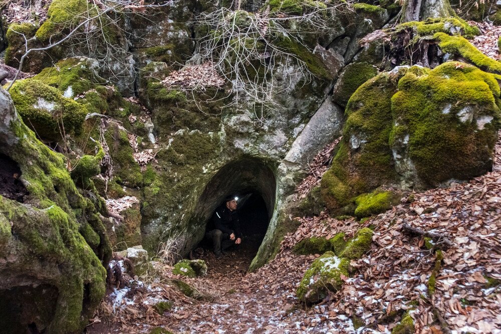 Borz-barlang