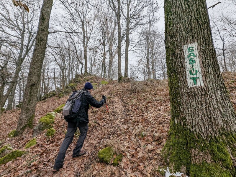 borzsony-teljesitmenytura-vulkantura-20b98765-13808146