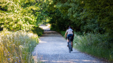 Börzsönyi Horizont – Hegységátkelés két keréken (1. rész: Nagyoroszi – Diósjenő)