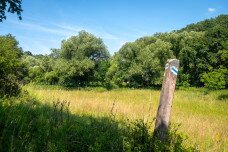 Börzsönykerülés jelvényért: a Börzsönyi Kéktúra