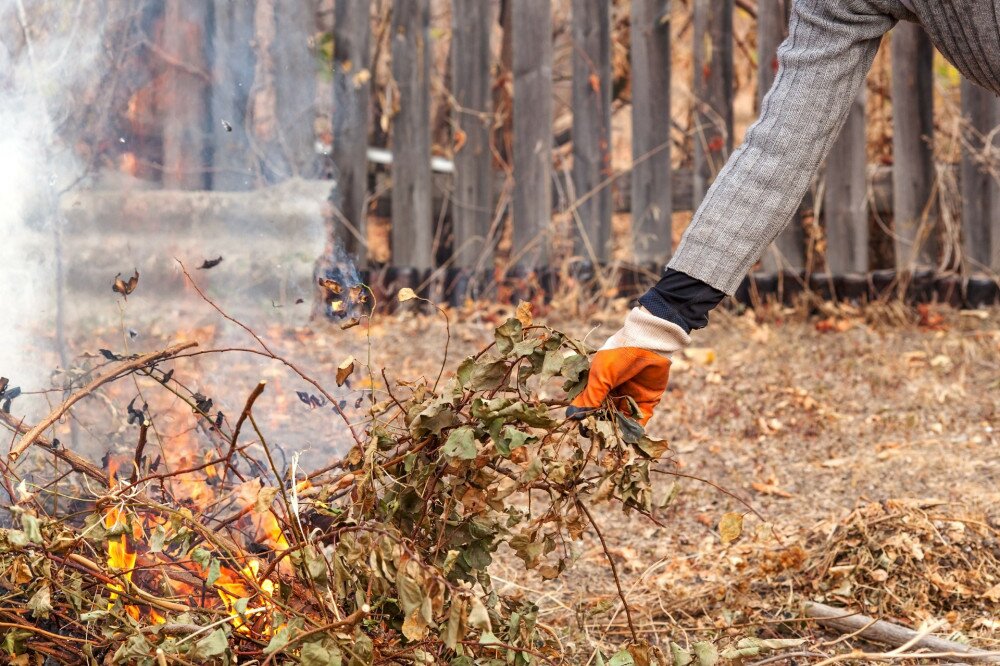 Burn trash.A man throws dry grass into a fire