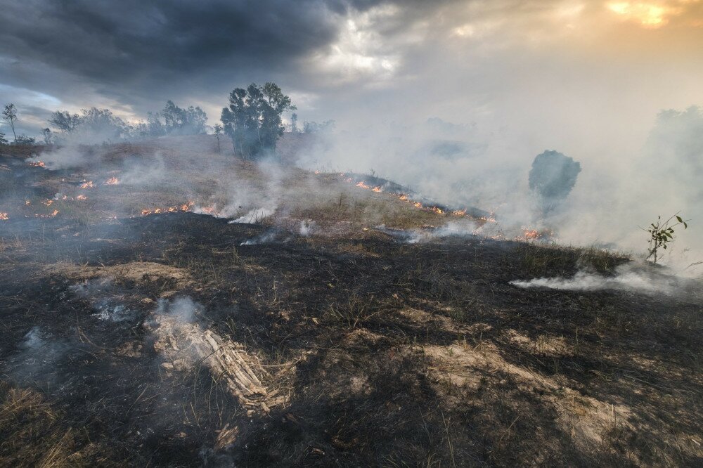 Bushfire, Burned black land on hill in Australia