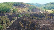 Természeti értékek pusztultak a bükki tűzben