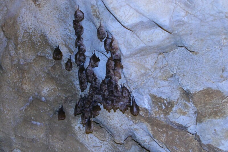 c3aa07e1dd842eb936de64d7714bc34f