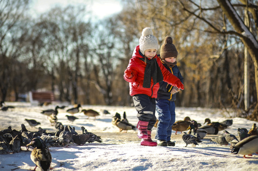 children in winter park play with snow.