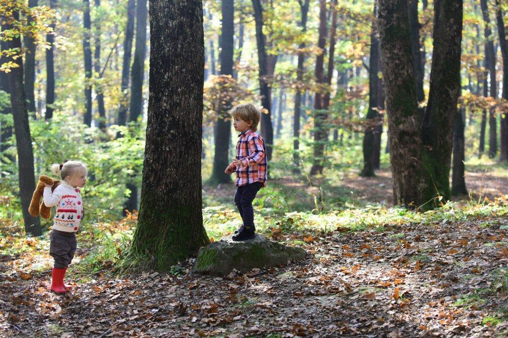 Children play in autumn forest. Brother and sister have fun on fresh air. Little boy and girl friends camping in woods. Childhood and child friendship, love and trust. Kids activity and active rest